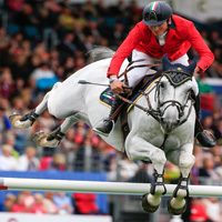 Dublin Horse Show, Imagess, Stefano Secchi, CSIO Dublino